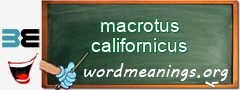 WordMeaning blackboard for macrotus californicus